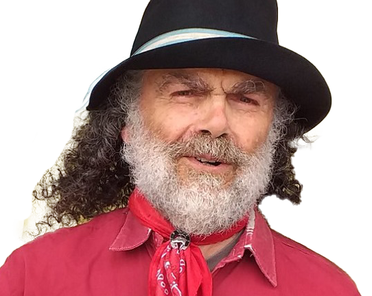 Miguel Ángel Sarlo